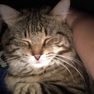 Meet your Posher, Alex